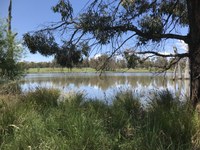 Community Tree Planting Day at Ploughmans Wetlands