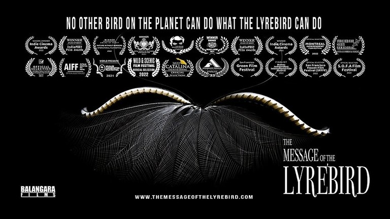 Film Screening - The Message of the Lyrebird