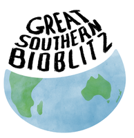 Great Southern Bio Bliz - Lithgow