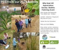 Great Southern Bioblitz,  Billy Goat Hill, Cowra