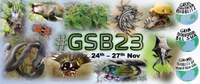 Great Southern BioBlitz