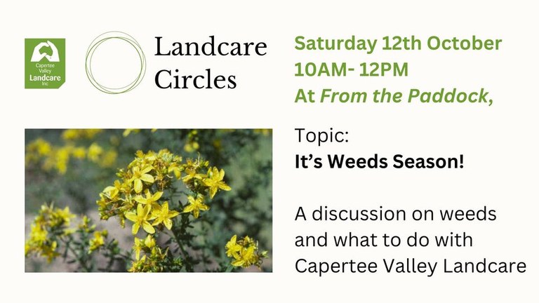 Landcare Circles- It's Weed Season