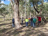 Lithgow Oberon Landcare Landscape Rehydration workshop