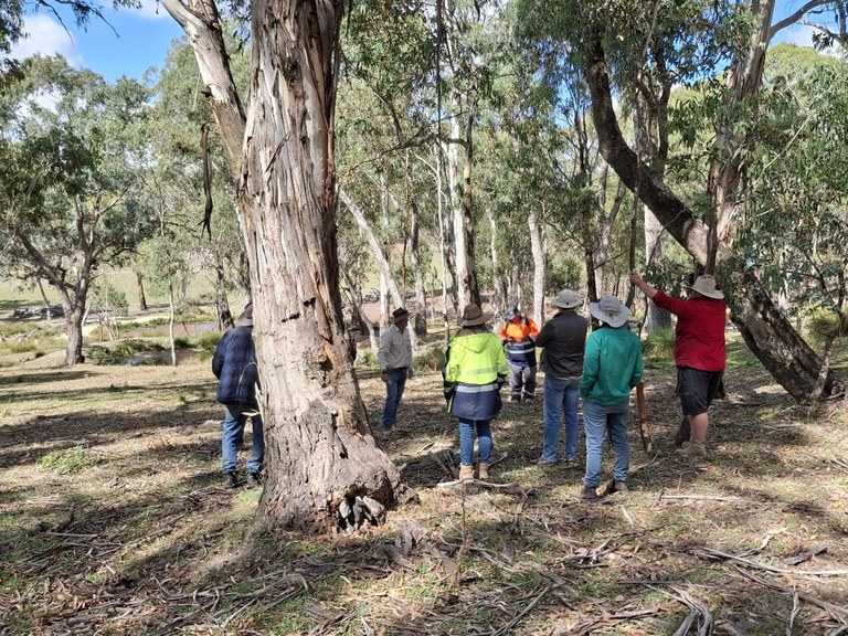 Lithgow Oberon Landcare Landscape Rehydration workshop Lithgow Oberon Landcare Landscape Rehydration workshop