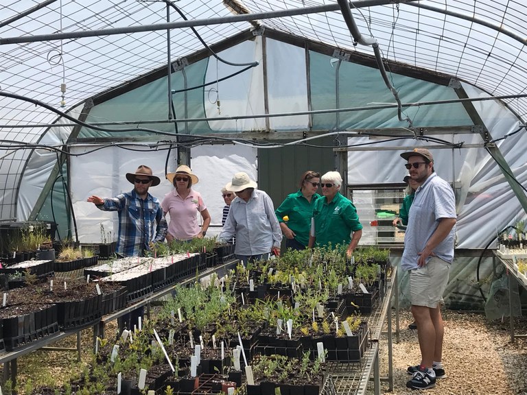 Local Landcare Nurseries Collaborate for a Greener Future