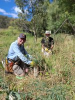 Lower Farmers Creek Landcare workday
