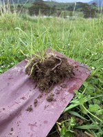 New video showcasing Little River Landcare's Soil PET project