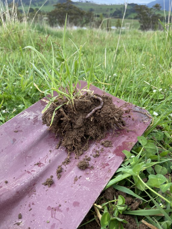 New video showcasing Little River Landcare's Soil PET project