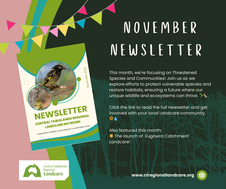 November Newsletter Out Now!