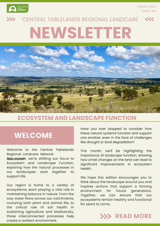 October Newsletter Out Now