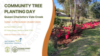 Queen Charlotte's vale Creek Tree Planting Day