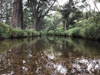 River Restoration Seminar