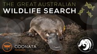 The Great Australian Wildlife Search, 2023