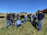 The Impact of Landcare in the Central Tablelands