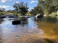 Wild Swimming for the School Holidays!