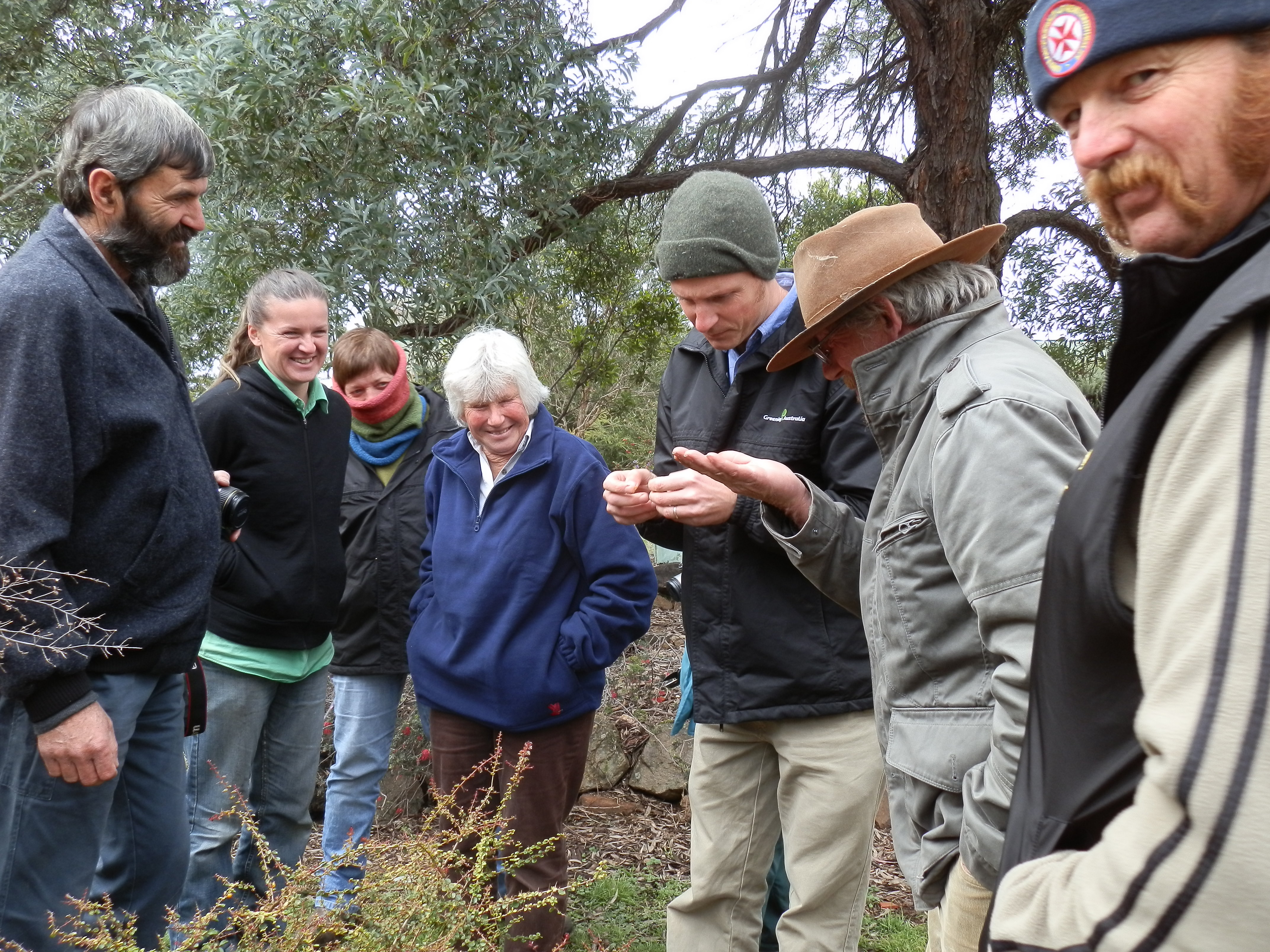 Seed collection training @ Burrendong Arboretum