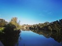 Cooks River Marrickville