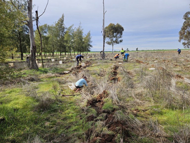 770 native plants planted!!