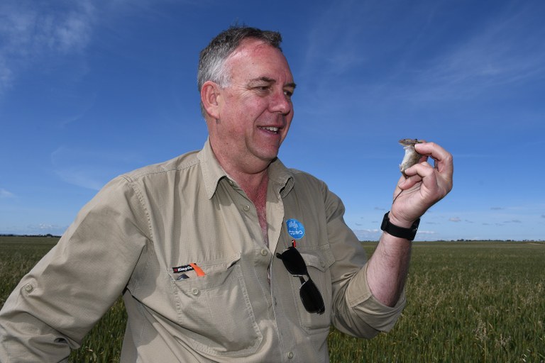 Mouse Road Show- Steve Henry CSIRO