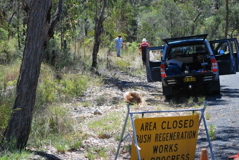 Crescent Reach Bushcare.jpg