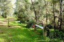 Daranggara Corridors Bushcare - Oakes Rd Reserve 1.JPG