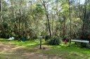 Daranggara Corridors Bushcare - Oakes Rd Reserve 2.JPG