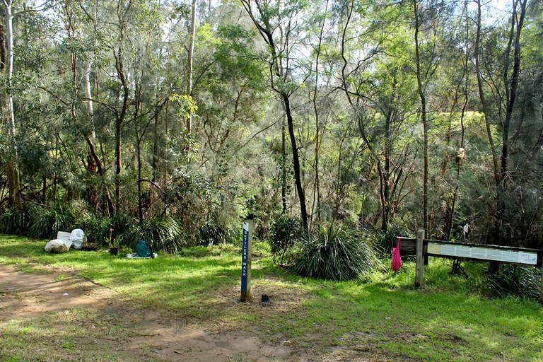 Daranggara Corridors Bushcare - Oakes Rd Reserve 2.JPG