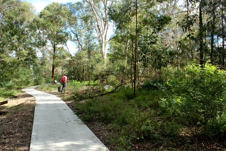 Daranggara Corridors Bushcare - Third Settlement Reserve.JPG