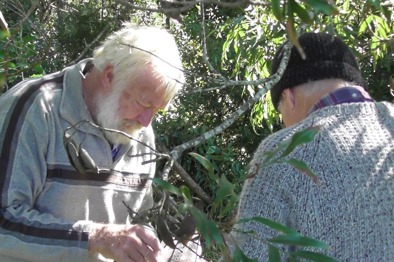 Identifying trees at Whiskey Ck