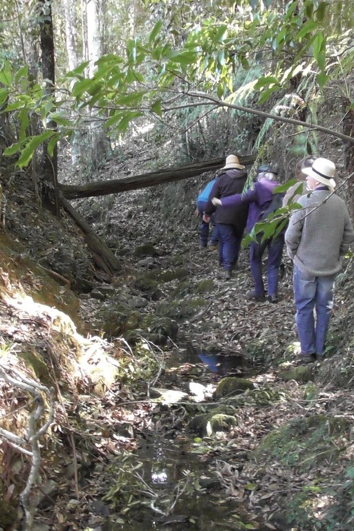 Yellowbank Creek bed