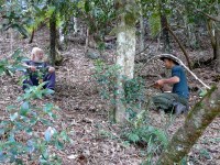 Exploring Yellowbank Creek