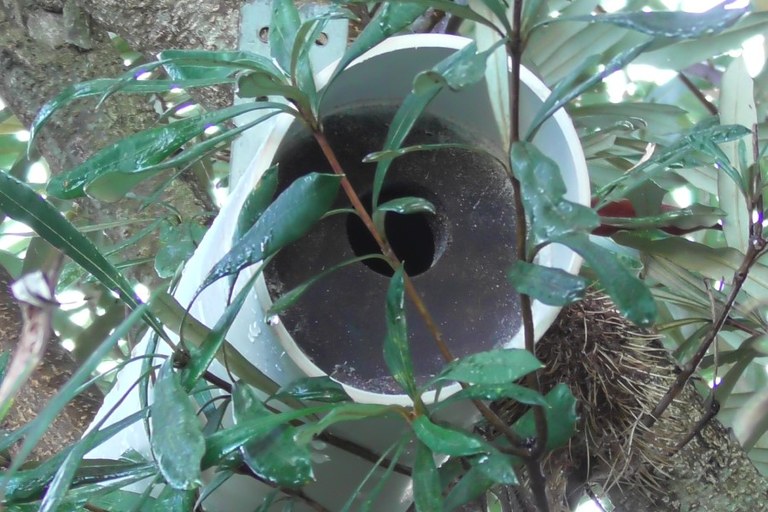 nestbox3.jpg