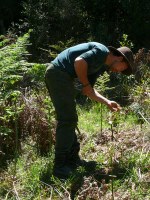 Dandarrga Native Nursery Opens in Dorrigo