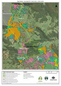 Dandarrga_corridor_2_north_portrait_th.jpg