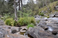 Blicks River, Dundurrabin