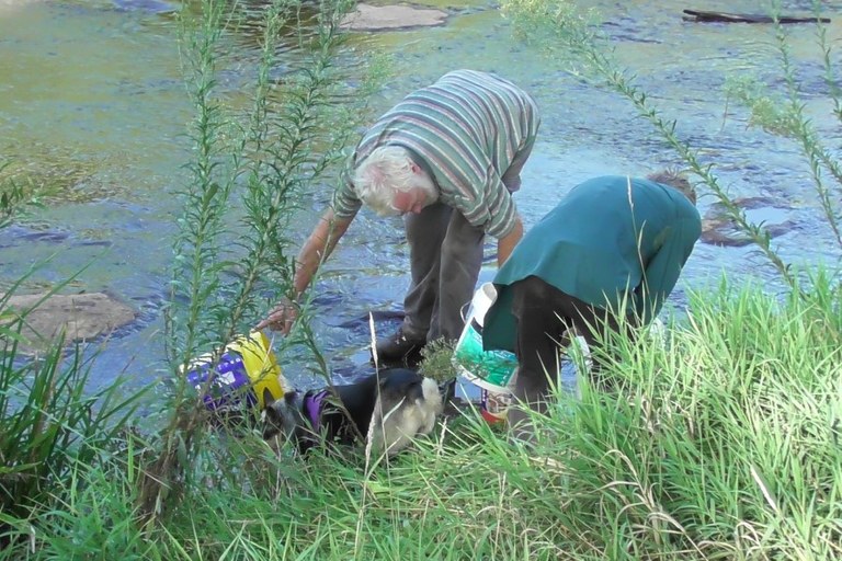 watering2.jpg