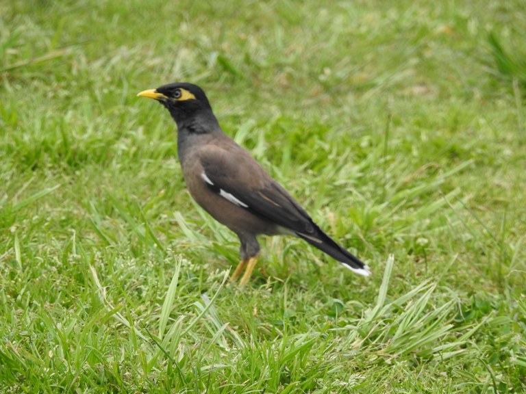 Eastern Riverina AGM