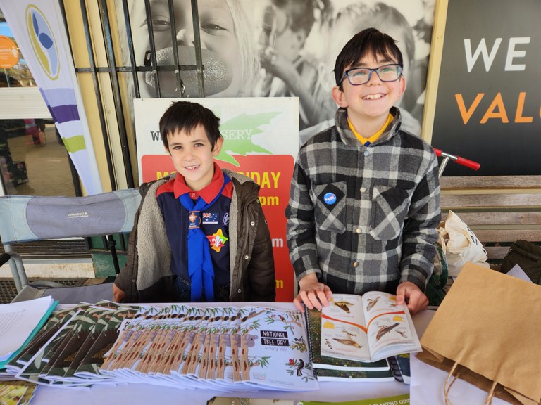 Scouts help out a the tree give away at The Rock