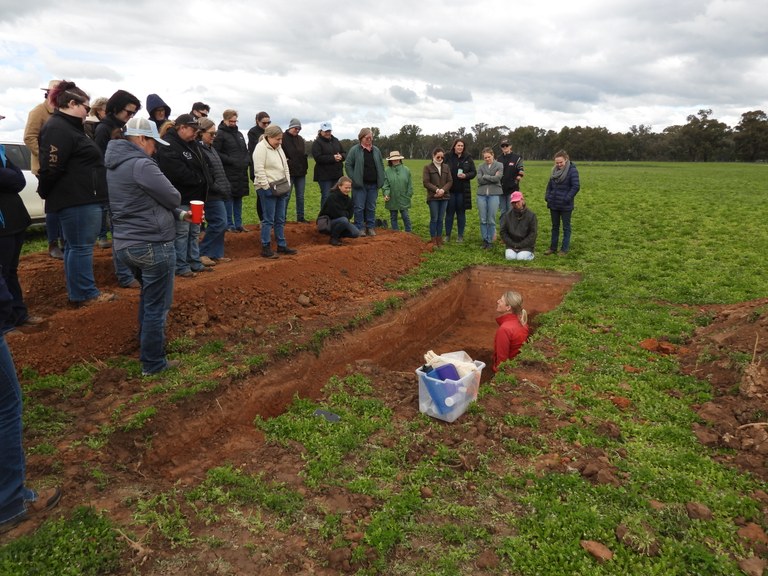 Mangoplah - AgriWomen Connect - Soil, Stock and Sustainability