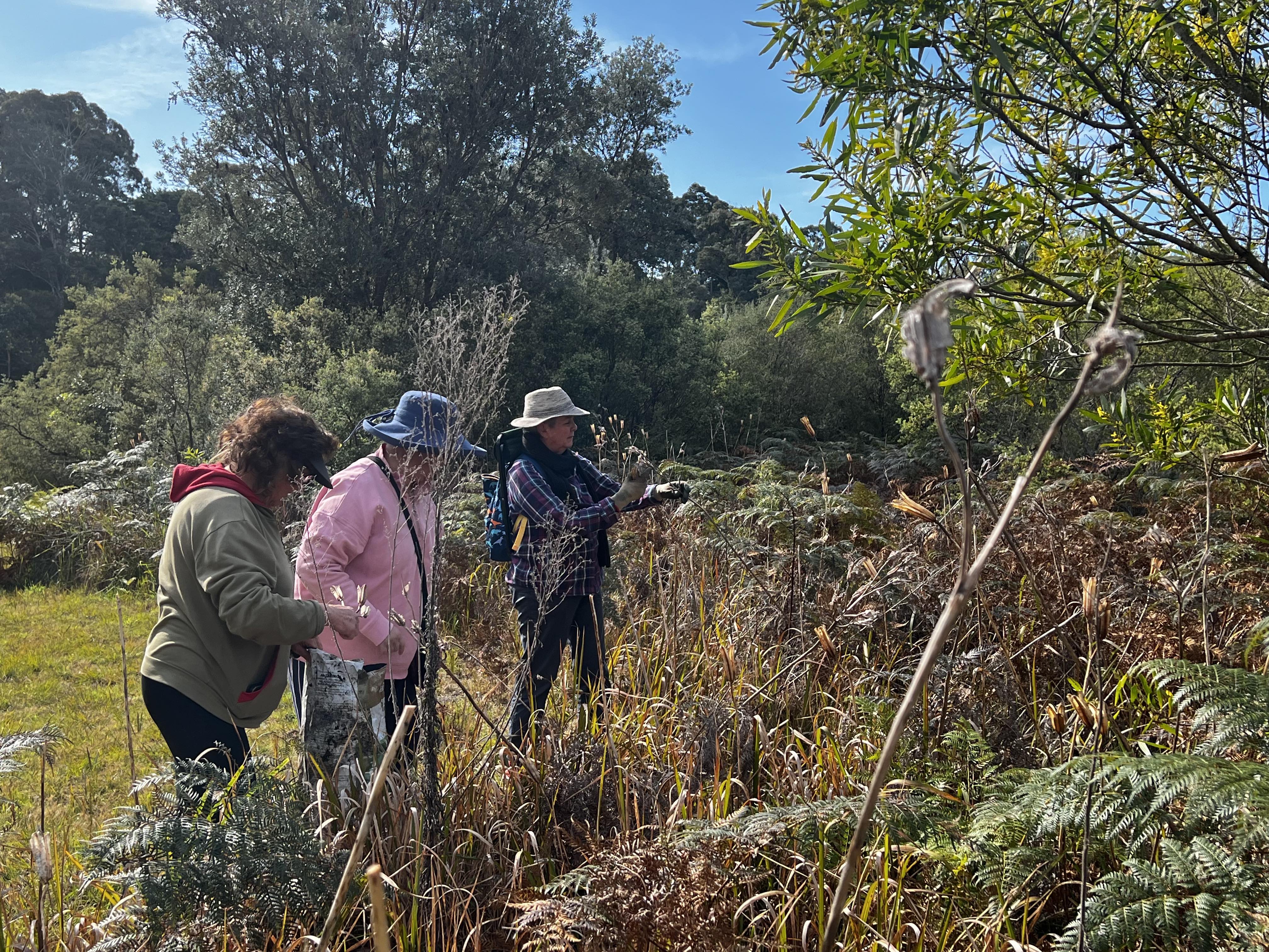 Eden Landcare At Work