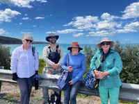 Weeding at Aslings Beach