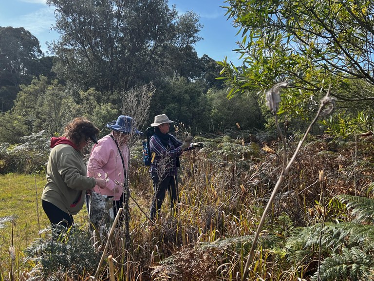 Eden Landcare at Work