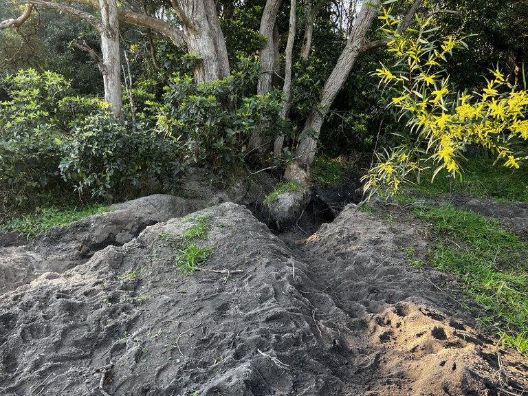 Wombat Diggings