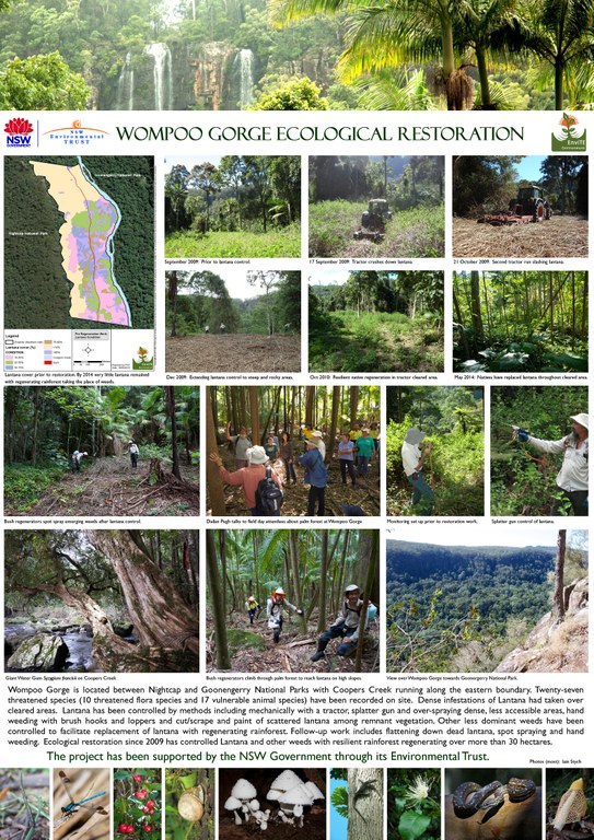 Wompoo Gorge Ecological Restoration