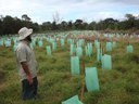 Restoration of Jali Seven Mile Beach Heath and Wetland Stage 2 2012 – 2014 Jali Local Aboriginal Land Council EnviTE Administrator