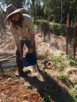 Tregeagle Koala habitat restoration and corridor connections 2013 – 2016 Tregeagle Landcare Group (EnviTE Environment Administrator) 