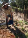 Tregeagle Koala habitat restoration and corridor connections 2013 – 2016 Tregeagle Landcare Group (EnviTE Environment Administrator) 