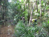 Yarrawarra Lowland Rainforest Restoration at Sherwood Nature Reserve Protecting Our Places Program 2013 – 2015 Yarrawarra Aboriginal Coorporation EnviTE Administrator