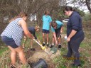 EcoWarriors planting trees Evans Head 2014-03-20 055.JPG