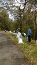 Men (and women) of lomandra